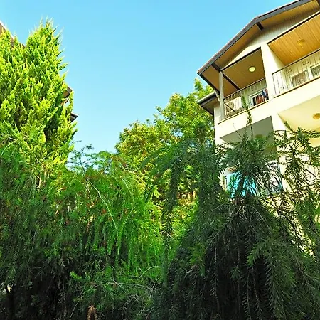 Dynasty Side Hotel 3*